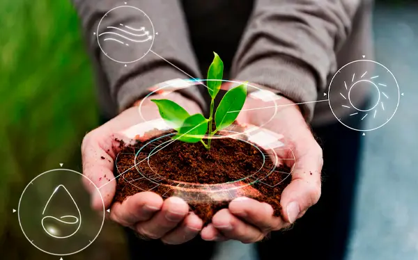 Tecnologia aplicada ao agronegócio com dados centralizados
