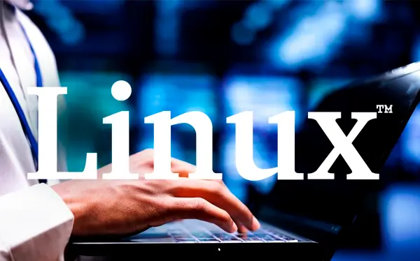 Backup de servidor Linux
