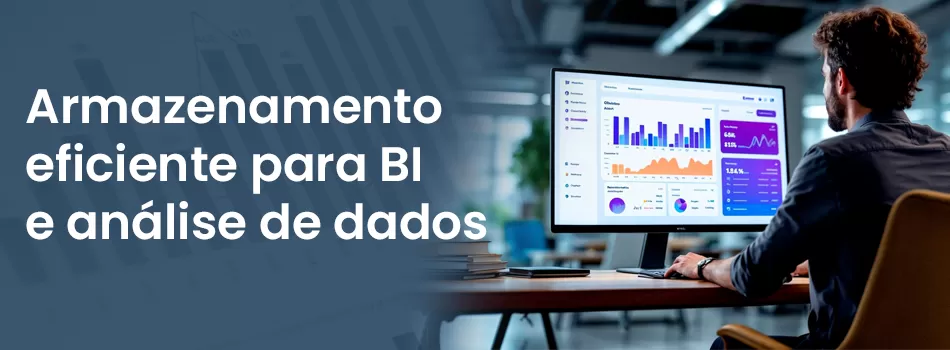 Os Entraves Na Armazenagem Para Aplicações Analíticas